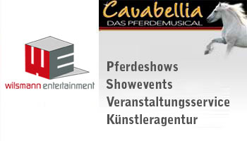 Wilsmann Entertainment